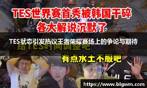 TES状态引发热议王者荣耀赛场上的争论与期待
