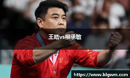 王皓vs柳承敏