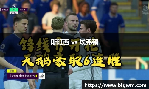 斯旺西 vs 埃弗顿