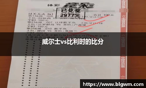 威尔士vs比利时的比分