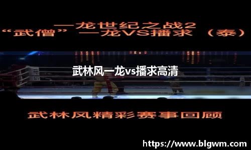 武林风一龙vs播求高清