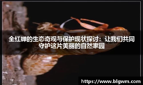 全红蝉的生态奇观与保护现状探讨：让我们共同守护这片美丽的自然家园