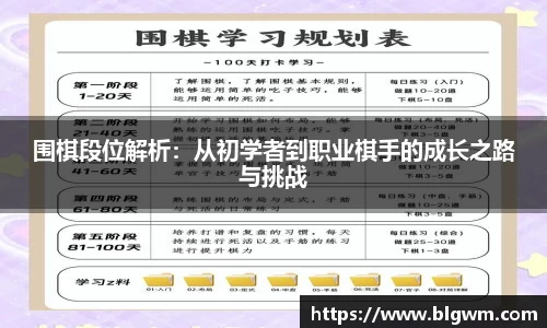 围棋段位解析：从初学者到职业棋手的成长之路与挑战
