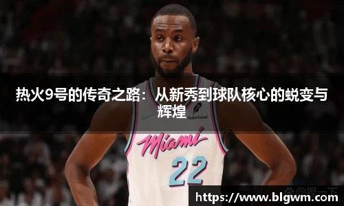 热火9号的传奇之路：从新秀到球队核心的蜕变与辉煌